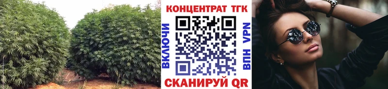 купить закладку  Пересвет  ТГК THC oil 