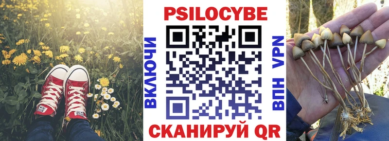 даркнет сайт  Пересвет  Галлюциногенные грибы прущие грибы 